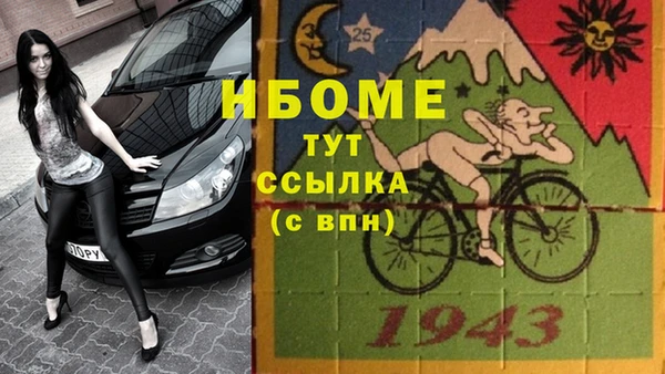 прущие грибы Белокуриха