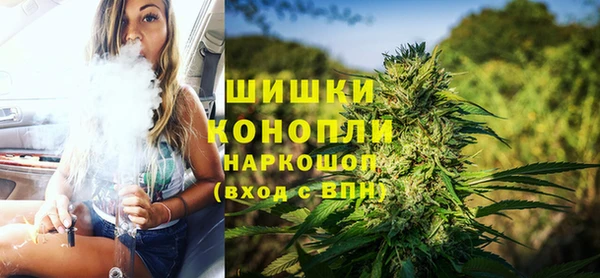 сатива Беломорск