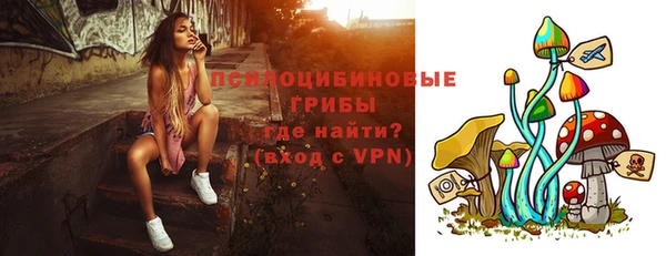 сатива Беломорск