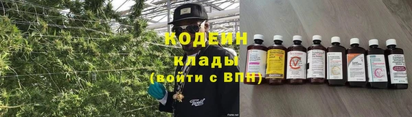 прущие грибы Белокуриха