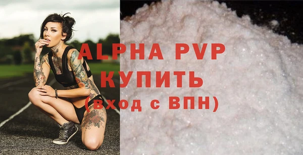 прущие грибы Белокуриха